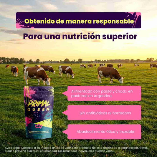 Primal Queen | Recupera tu Energía y Equilibrio Hormonal