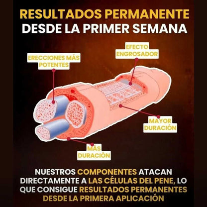 PythonGel 🐍❤️‍🔥 – Poder y rendimiento al máximo🔥💪