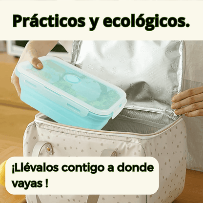 Practicos Envases Plegables (Pack de 4)
