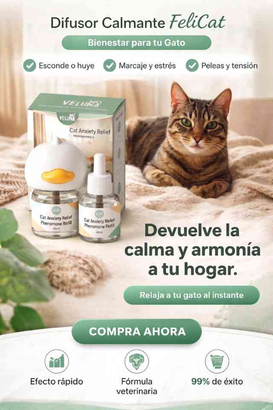 Difusor Calmante FeliCat | Bienestar para tu Gato