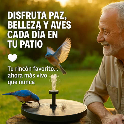 🌿Convierte tu Jardín en un Oasis Solar🌞